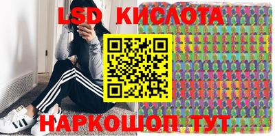 мдпв Новозыбков
