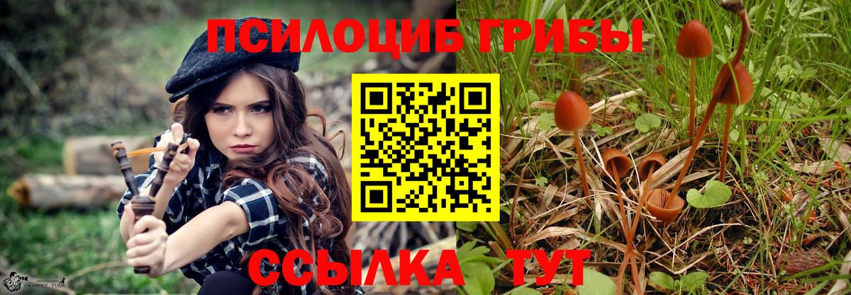 Галлюциногенные грибы мухоморы Красноперекопск