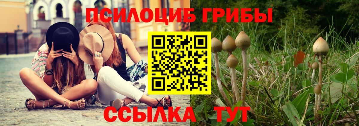 Псилоцибиновые грибы мицелий  Псилоцибиновые грибы ЛСД  Красноперекопск  Вход с VPN 